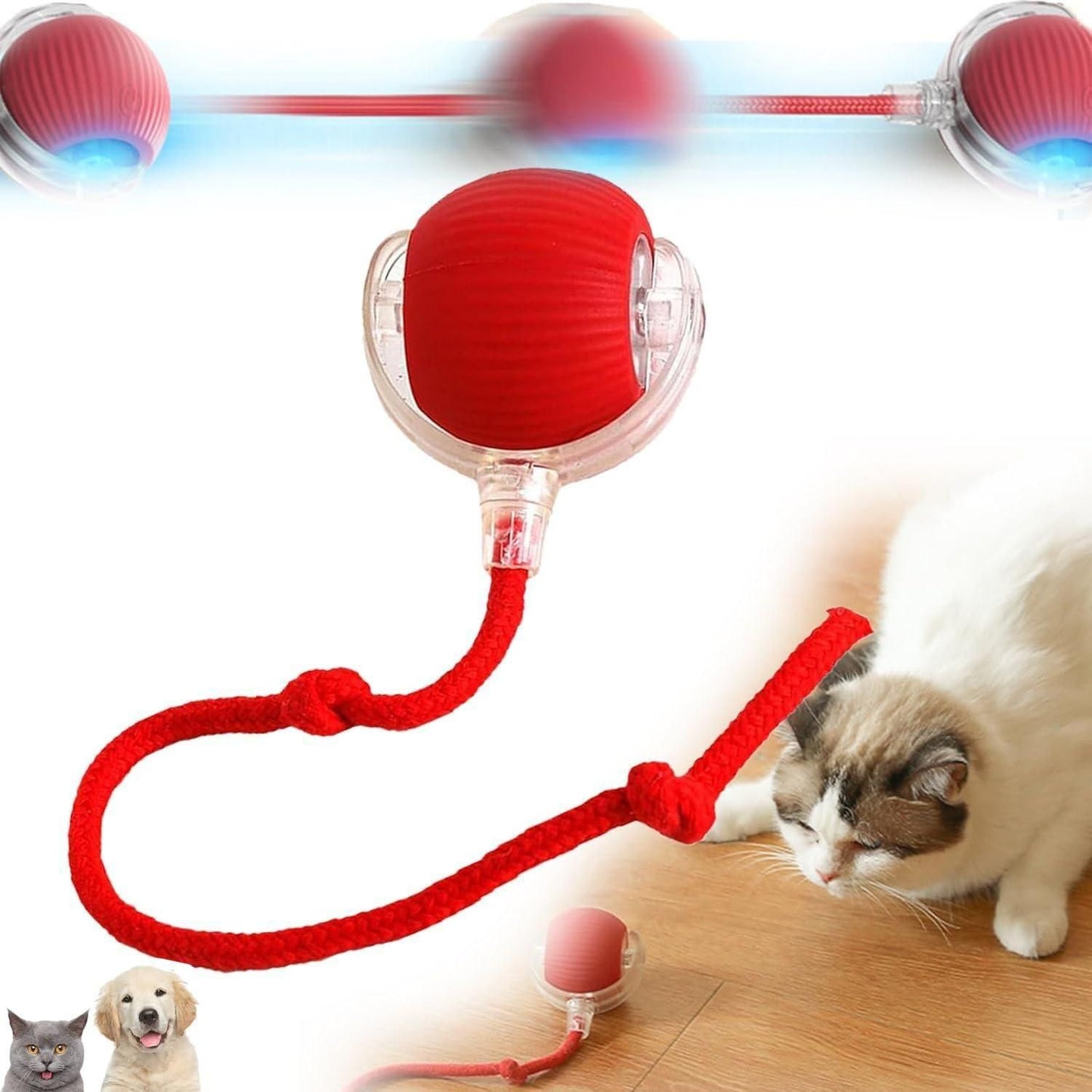 Rolling Ball Pet Toy 🪩🐈🐾