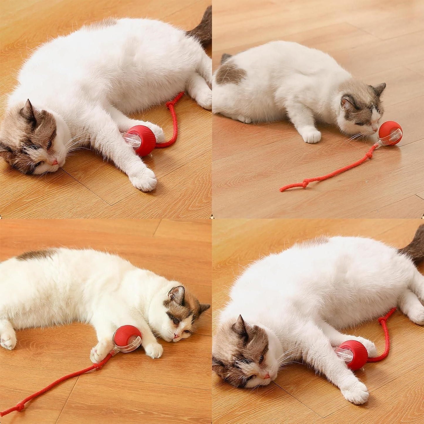 Rolling Ball Pet Toy 🪩🐈🐾